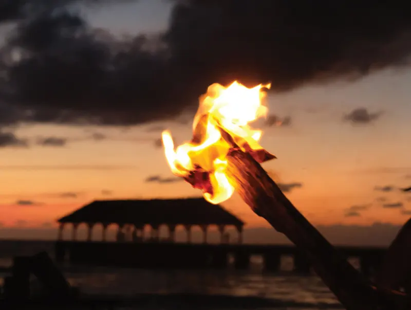 Tiki torch